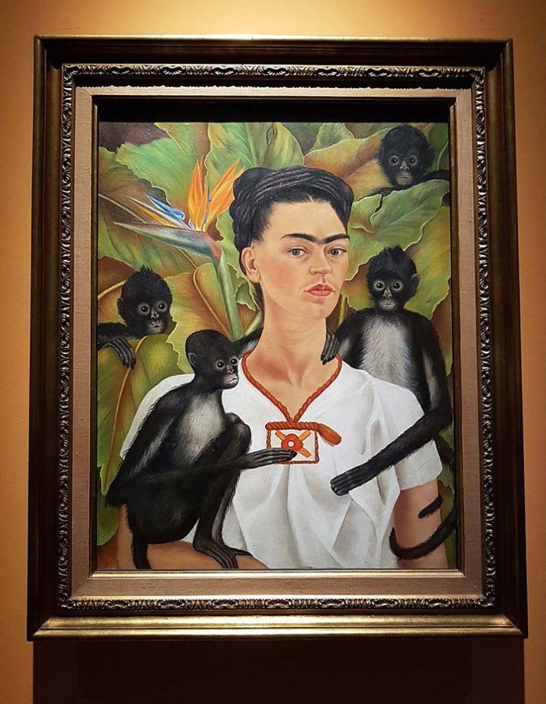 Frida Kahlo: vida e obra do ícone mexicano